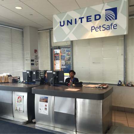 united and pet travel